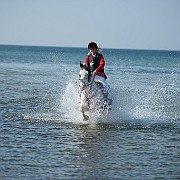 hest og pony start og stranden
